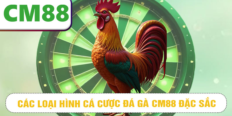 Các loại hình cá cược đá gà CM88 đặc sắc